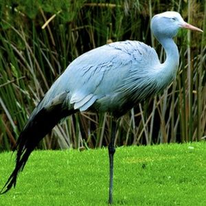 Meet your Posher, Elle